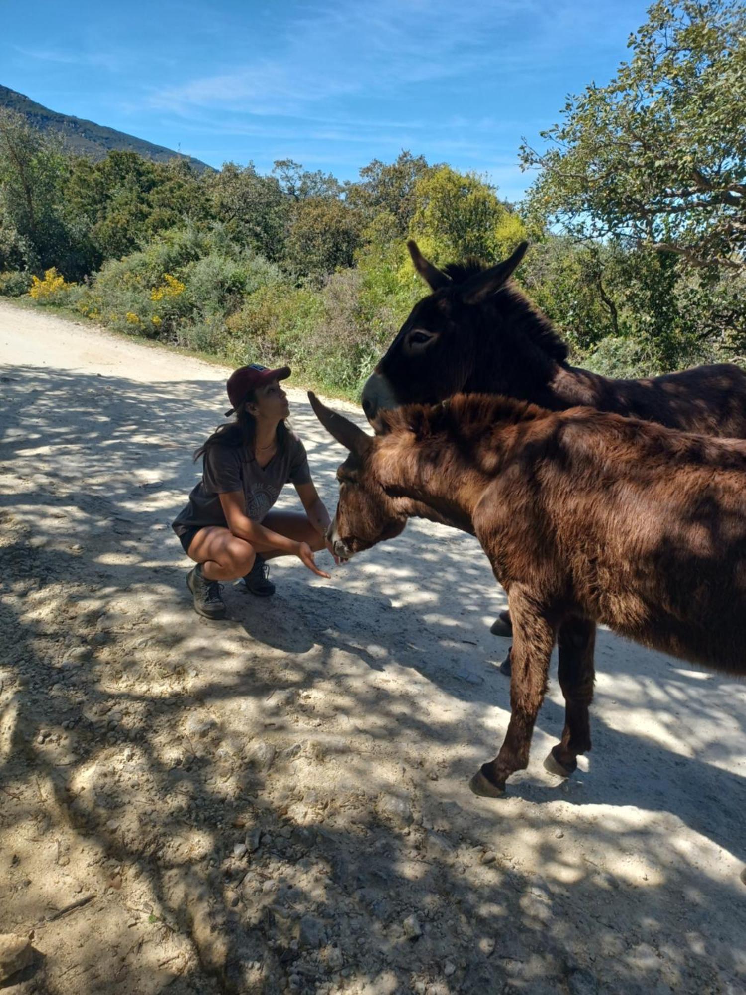 Complejo Rural Del Molino Dorado