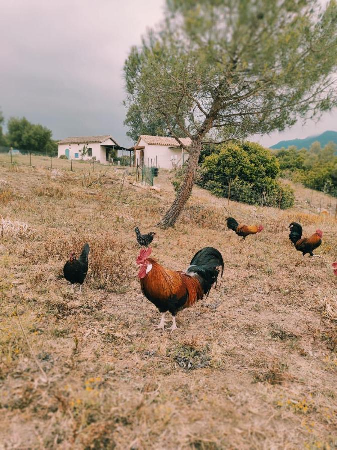 Complejo Rural Del Molino Dorado Holiday home *
